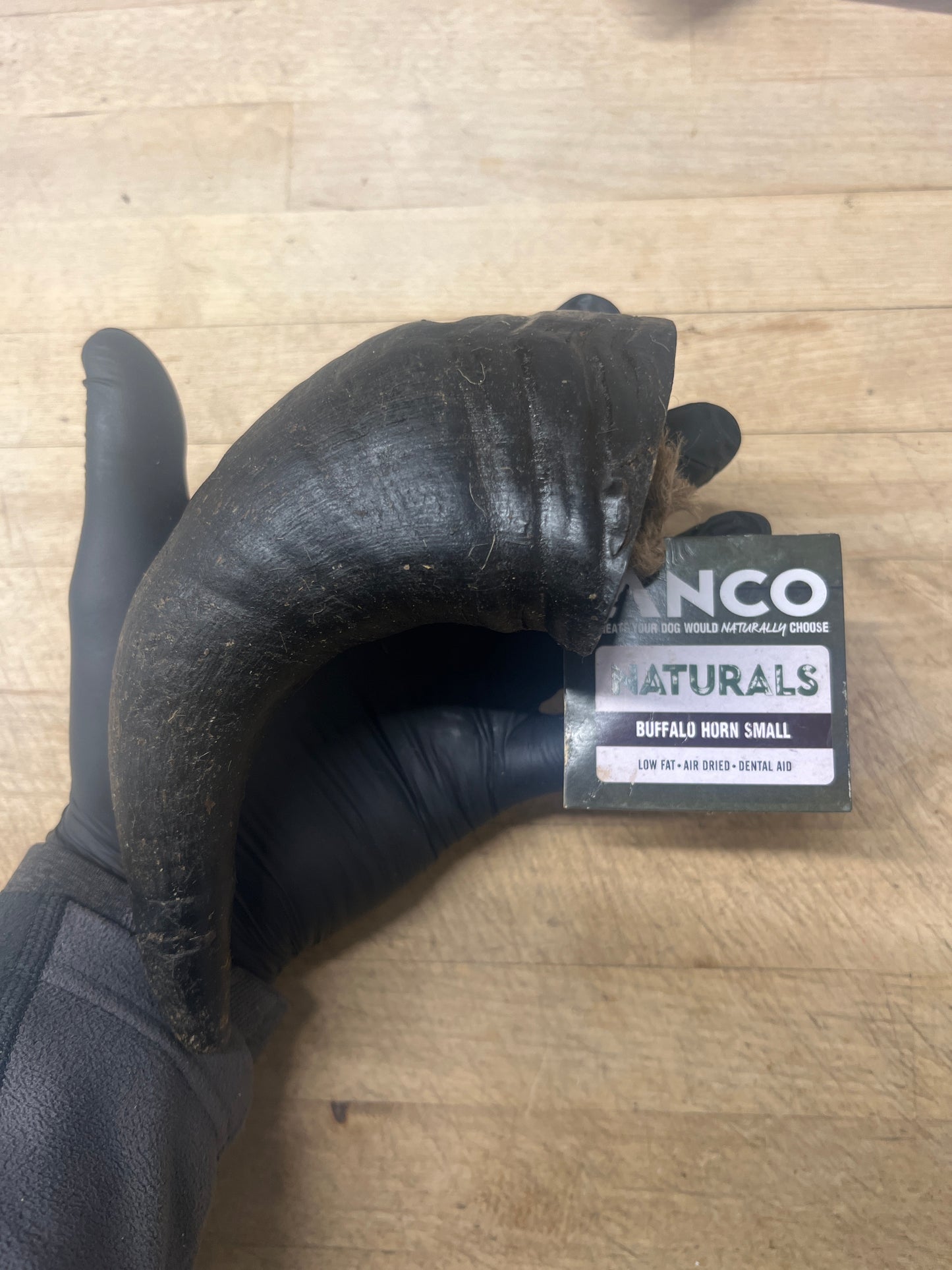 Buffalo Horn (Small)