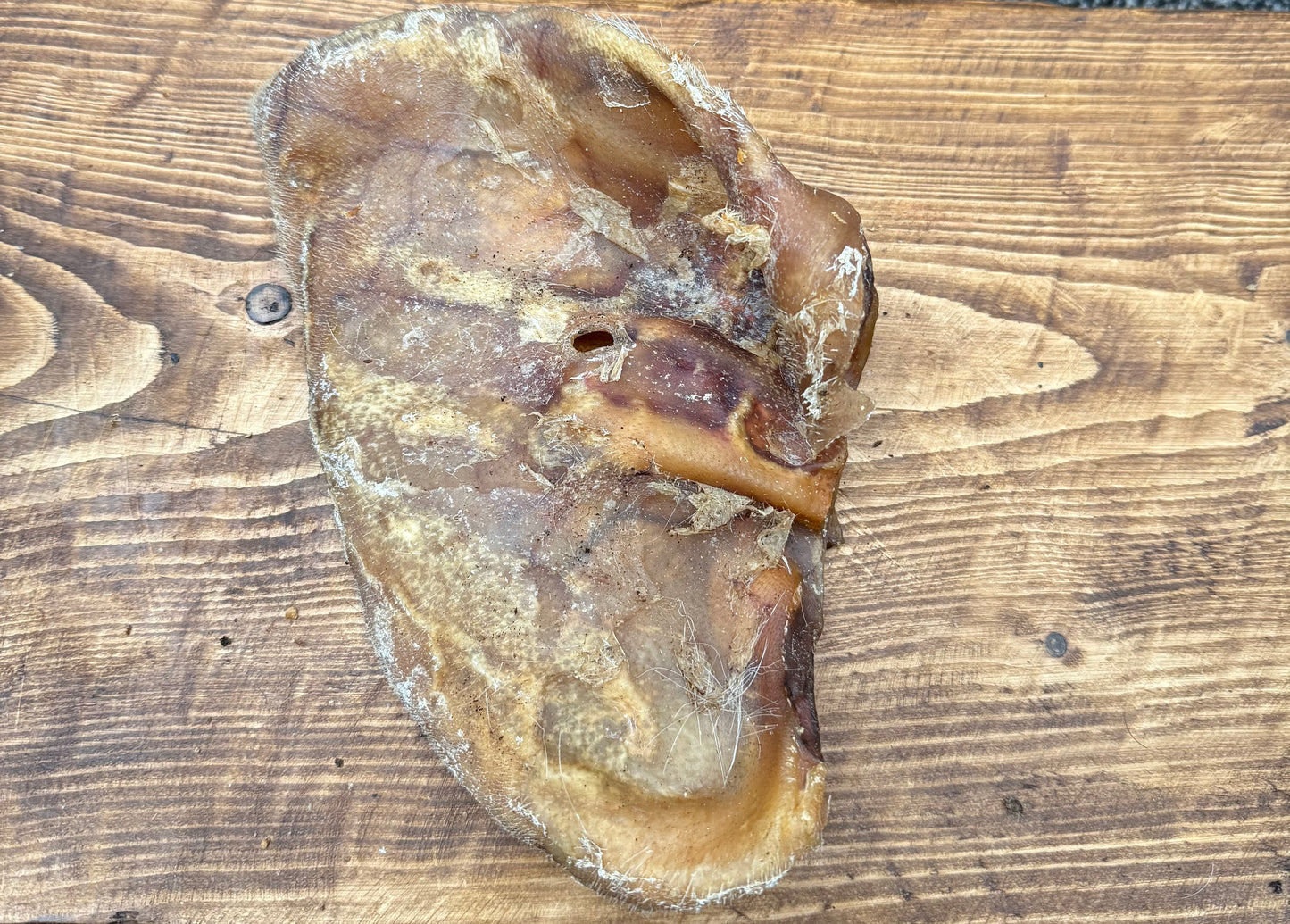 Pig Ear XXL
