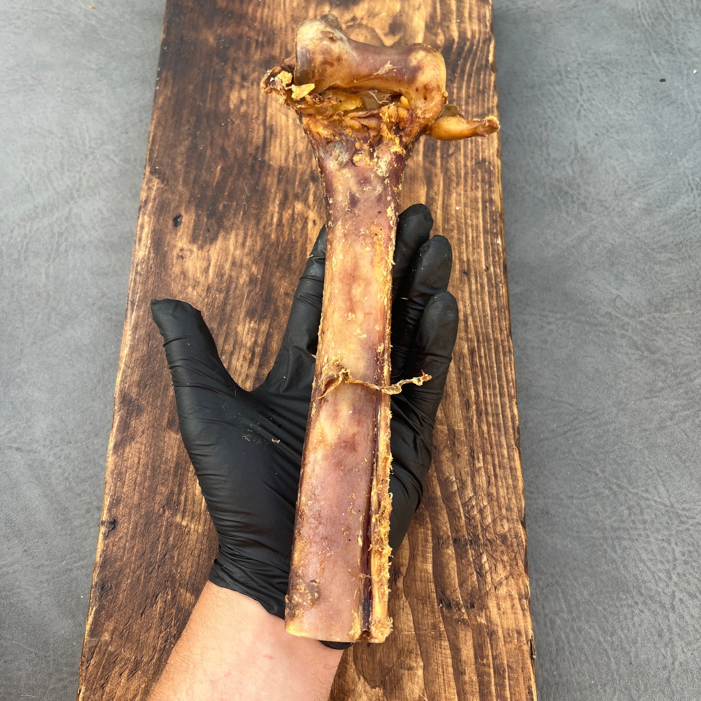 Ostrich Bone