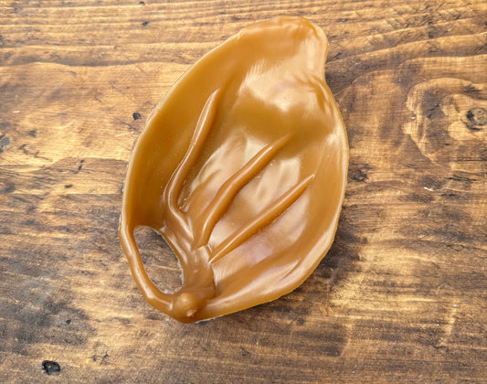 Peanut Butter Pig Ear