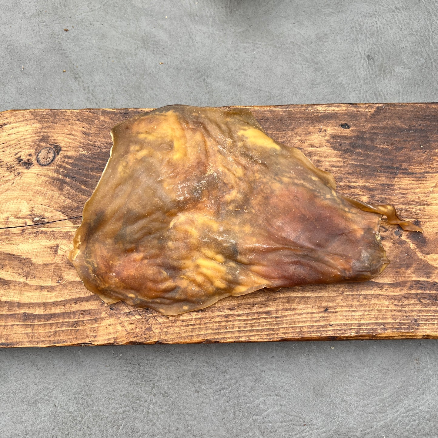 Camel skin plate portion