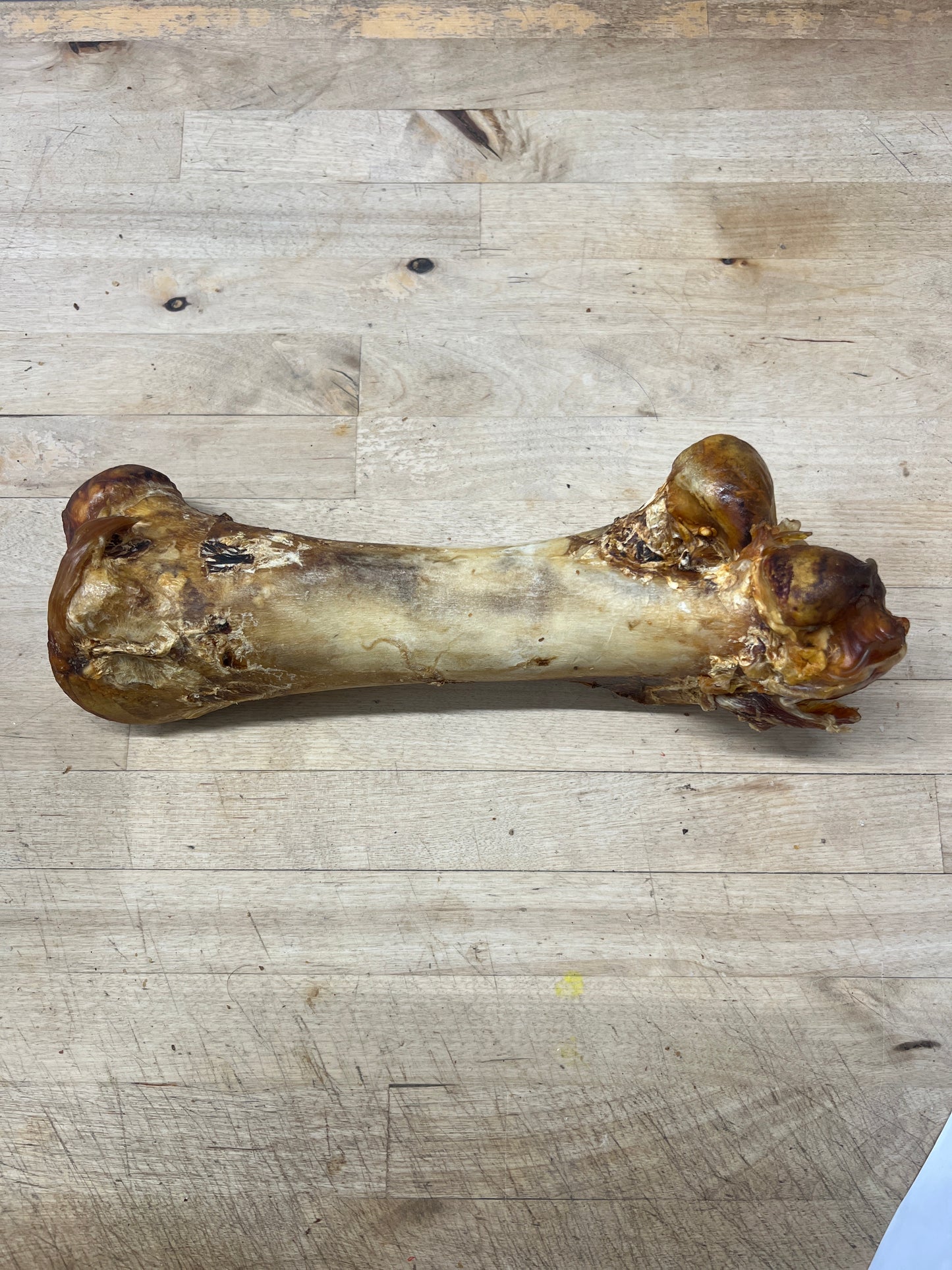 Jumbo Ostrich Bones