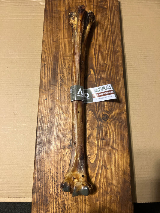 Ostrich whole metatarsus bone - Anco