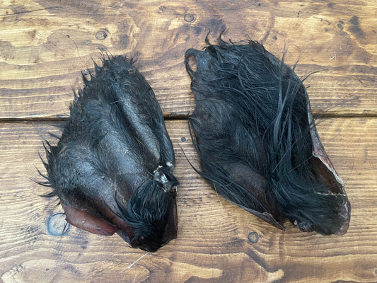 Large cow ears (Hairy)