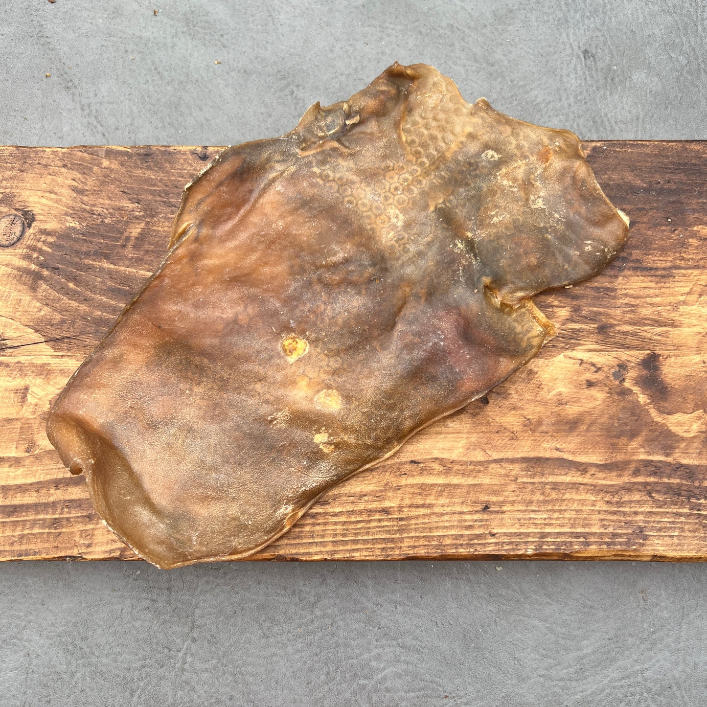 Camel skin plate portion
