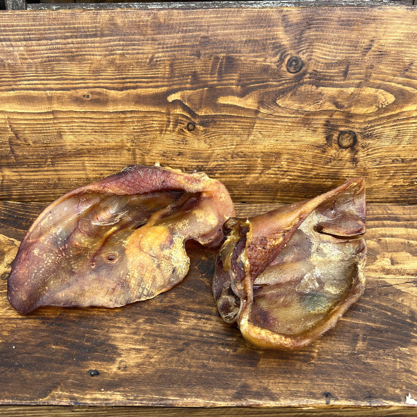 Sow Pig Ear (Large)