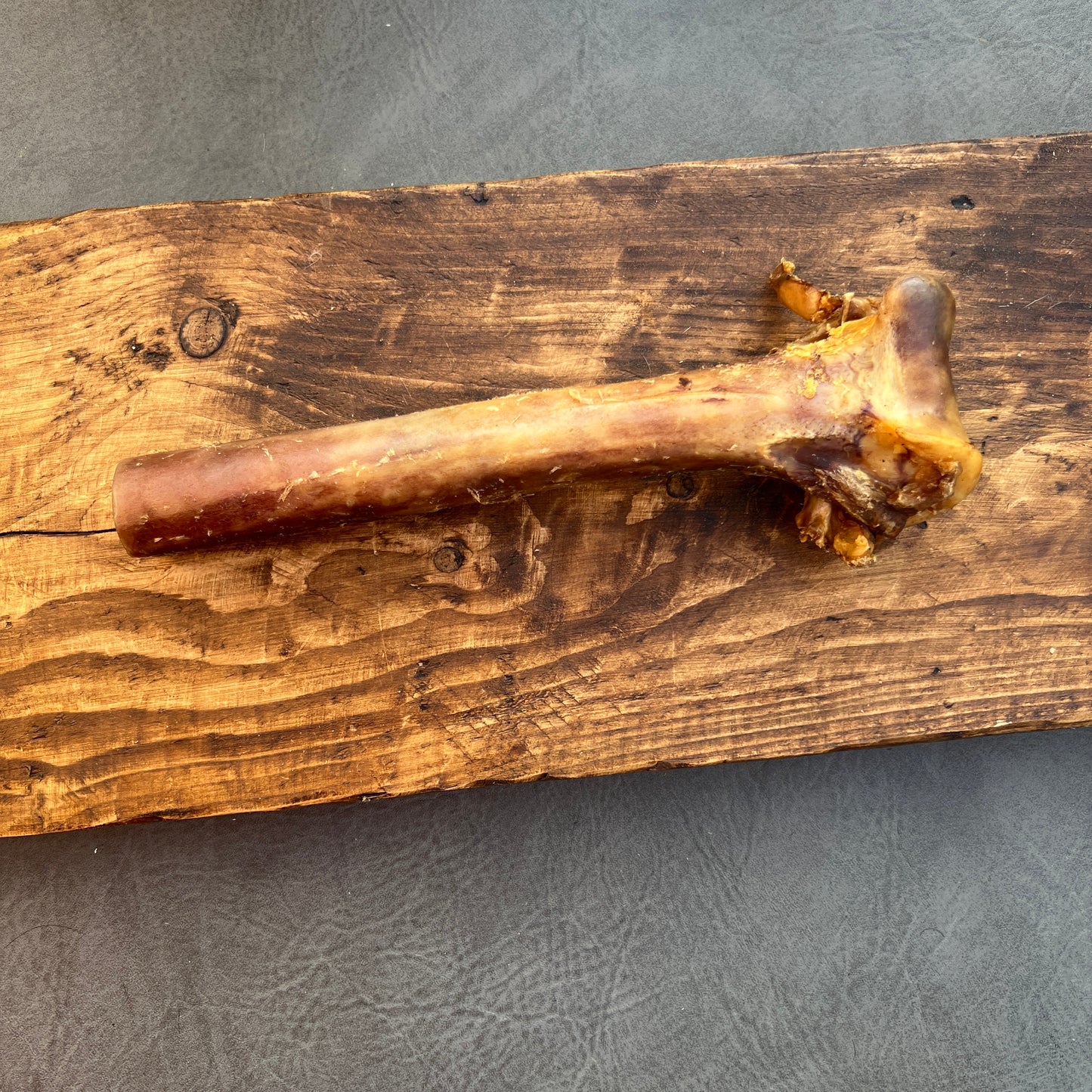 Ostrich Bone