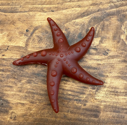 Apple & Mint Starfish