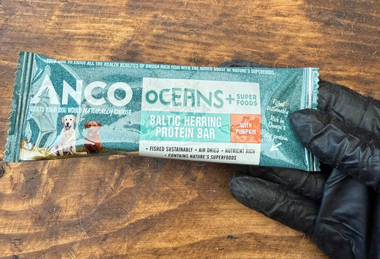 Anco Oceans+ Protein Bar With Pumpkin 25g