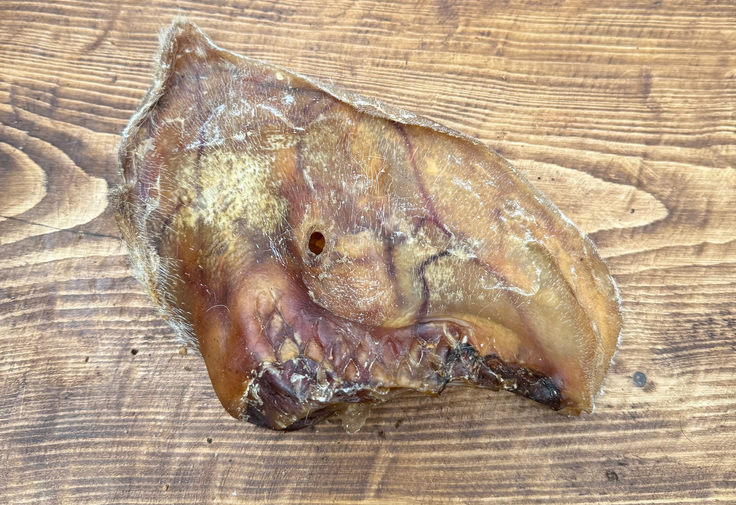 Pig Ear XXL