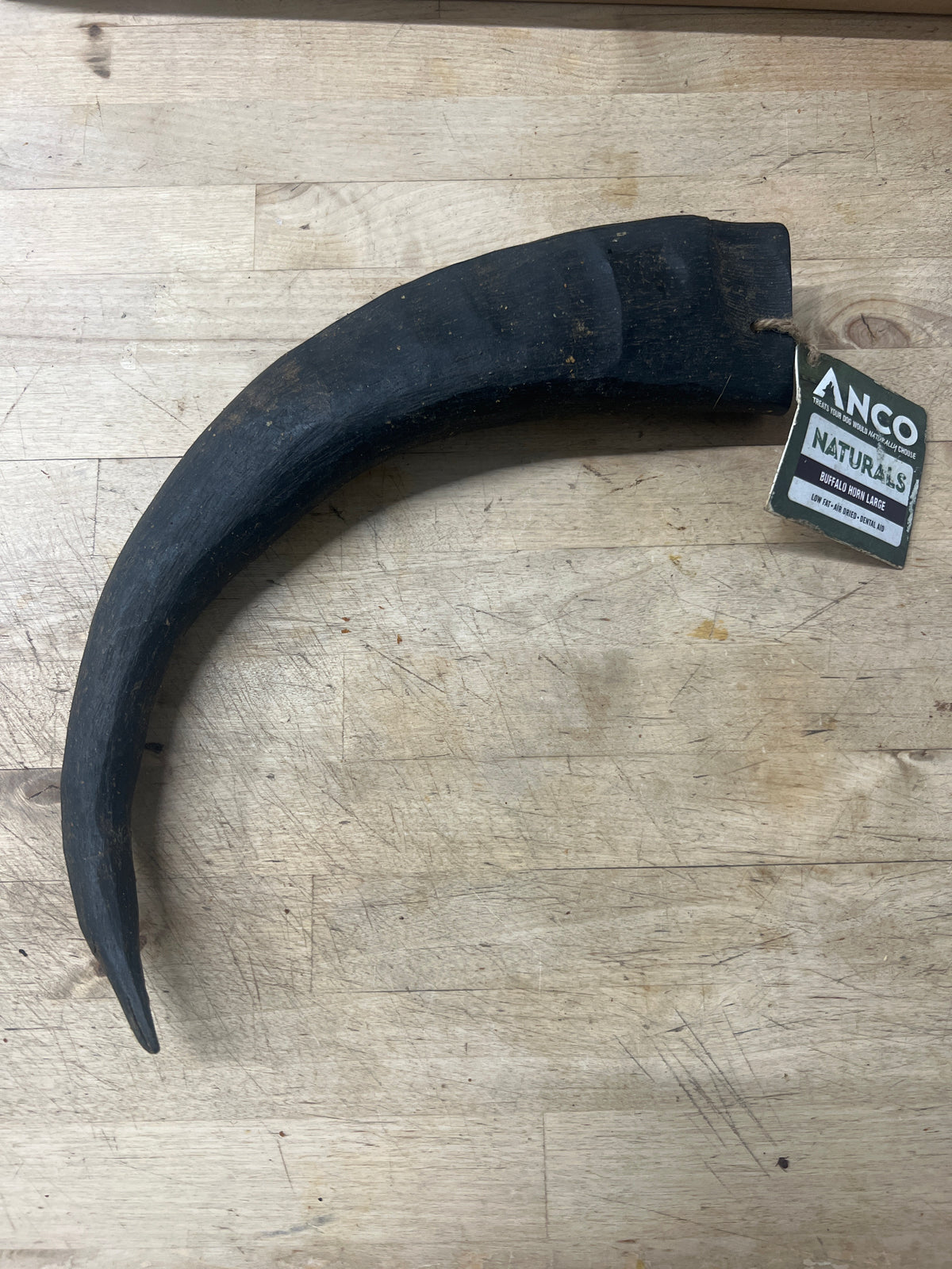 Anco Large Buffalo Horn