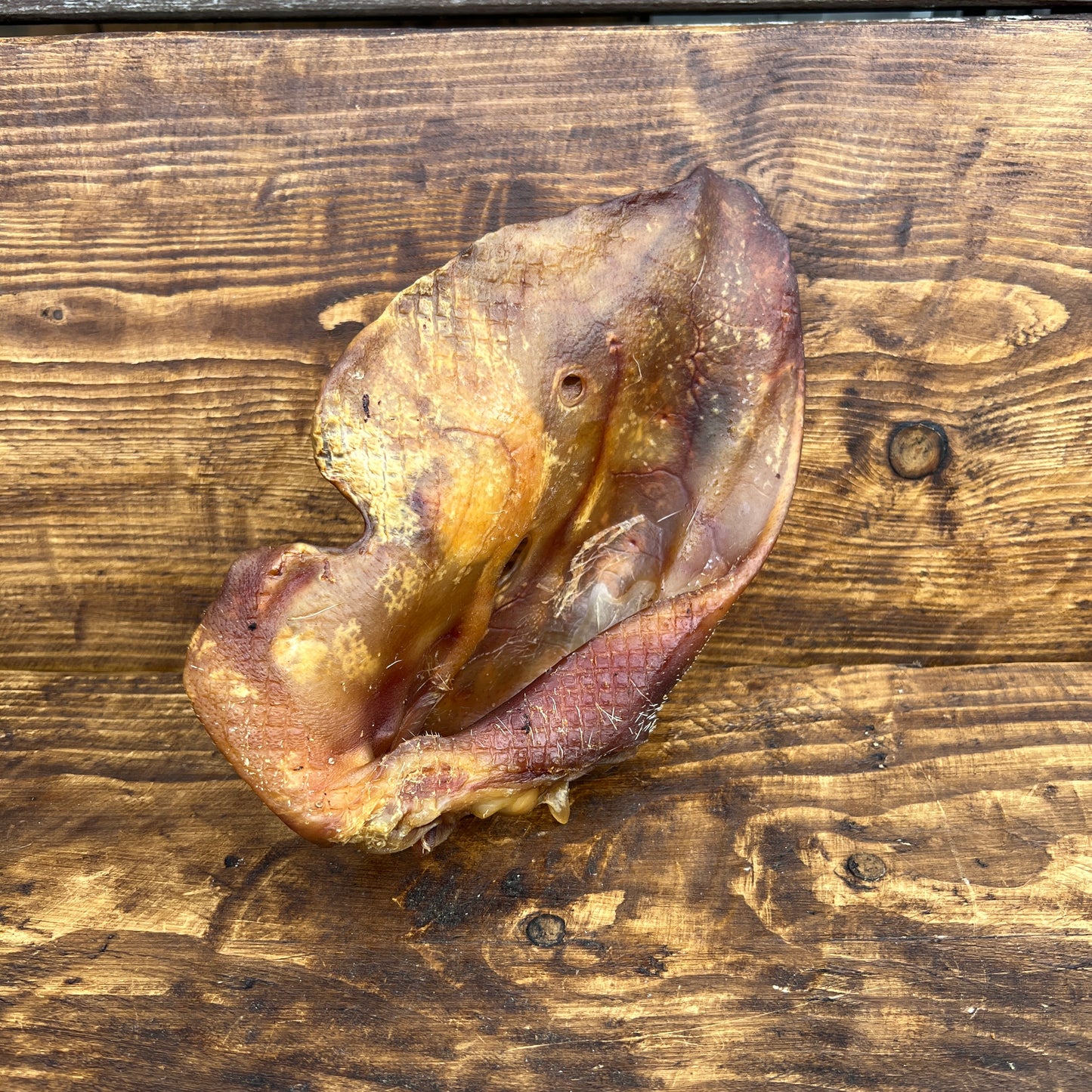 Sow Pig Ear (Large)