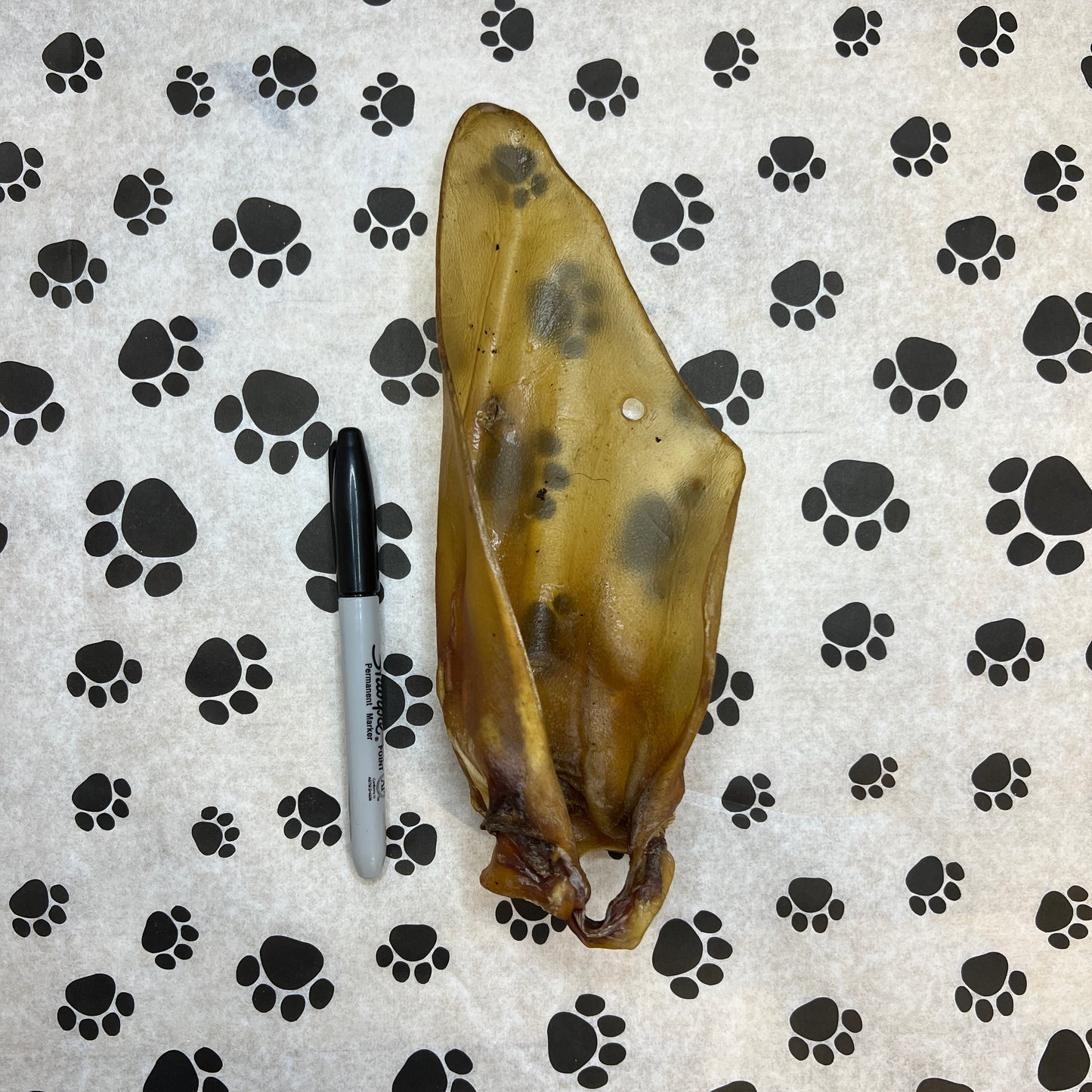 Large Plain Cow Ear