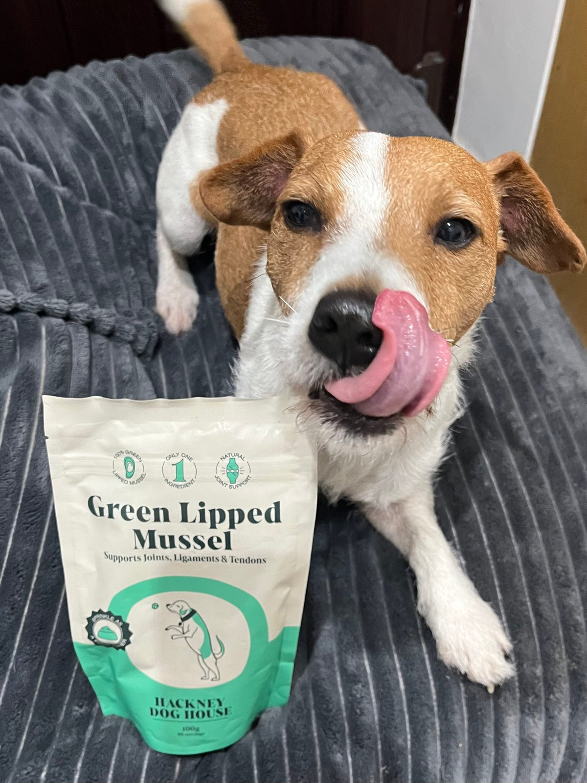 Green Lipped Muscle Powder 100g (80 servings)