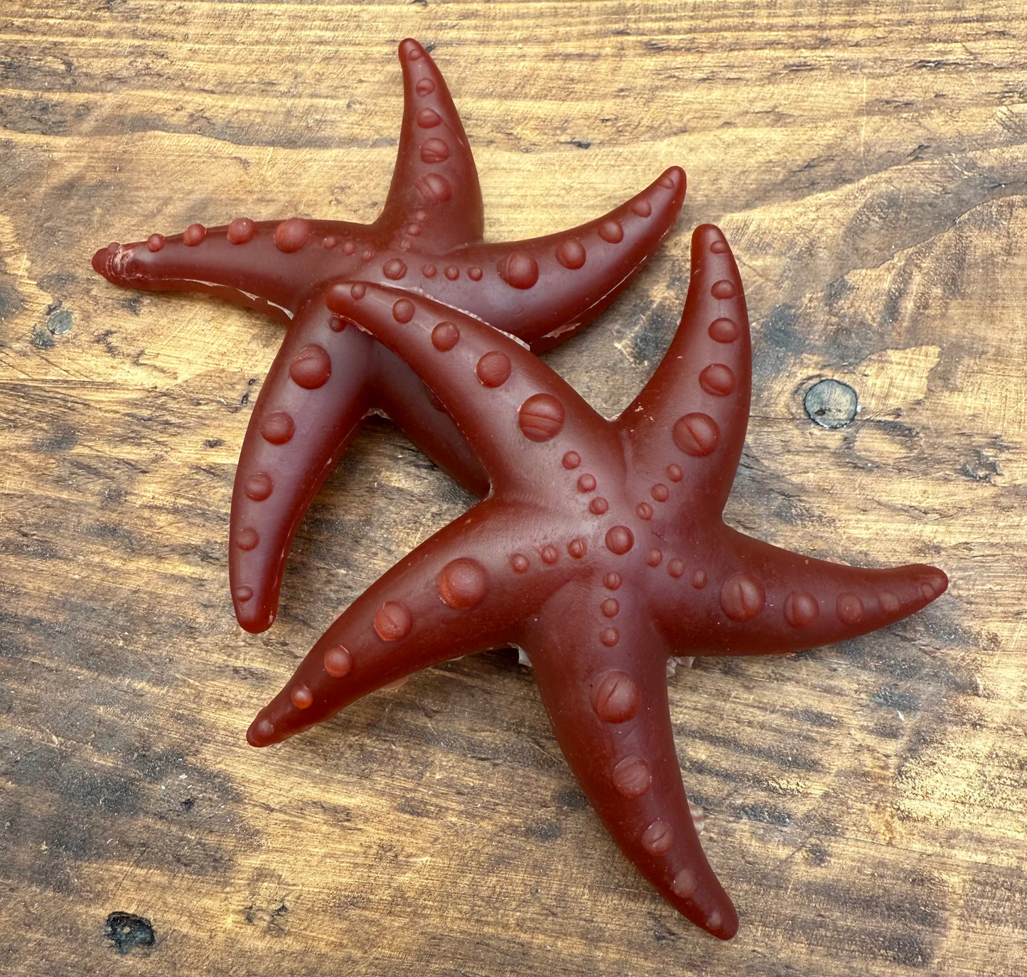 Apple & Mint Starfish