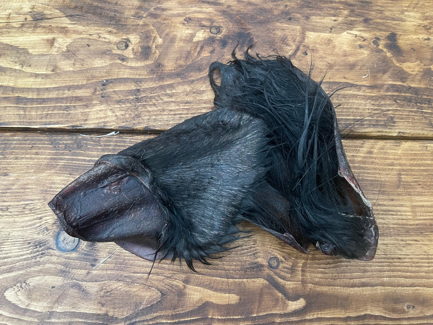 Large cow ears (Hairy)