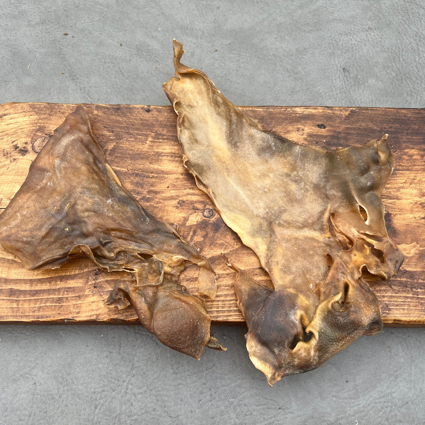Camel skin plate portion