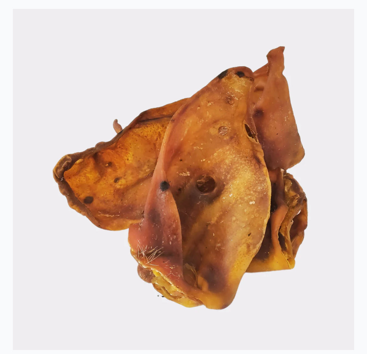 Pig ear