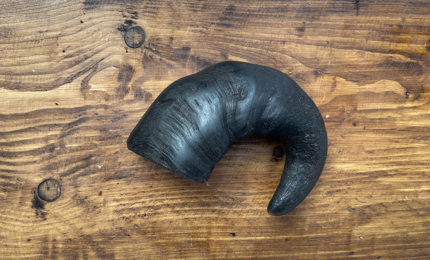 Anco Large Buffalo Horn