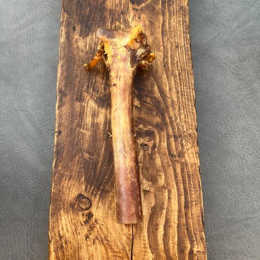Ostrich Bone