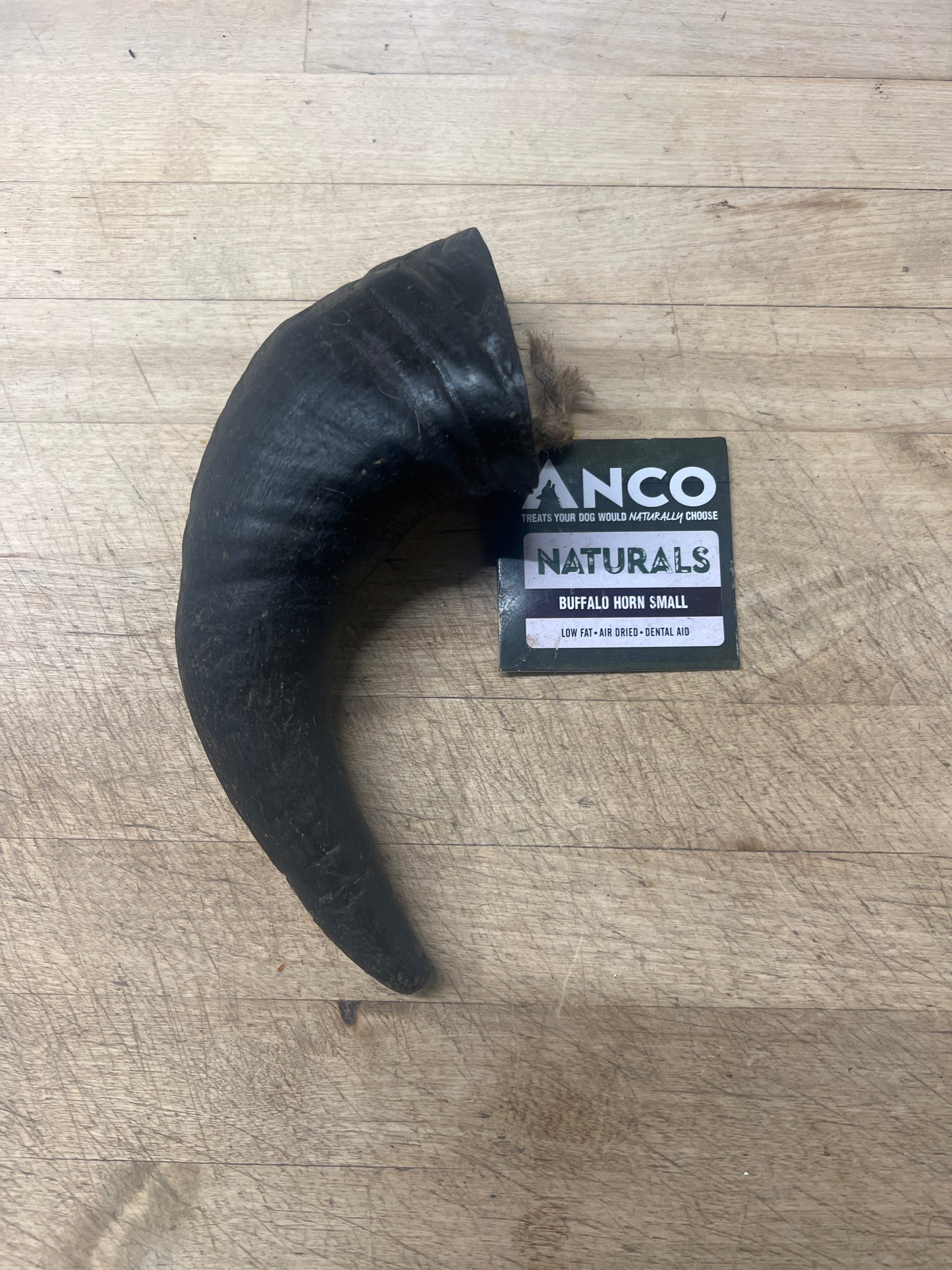 Buffalo Horn (Small)