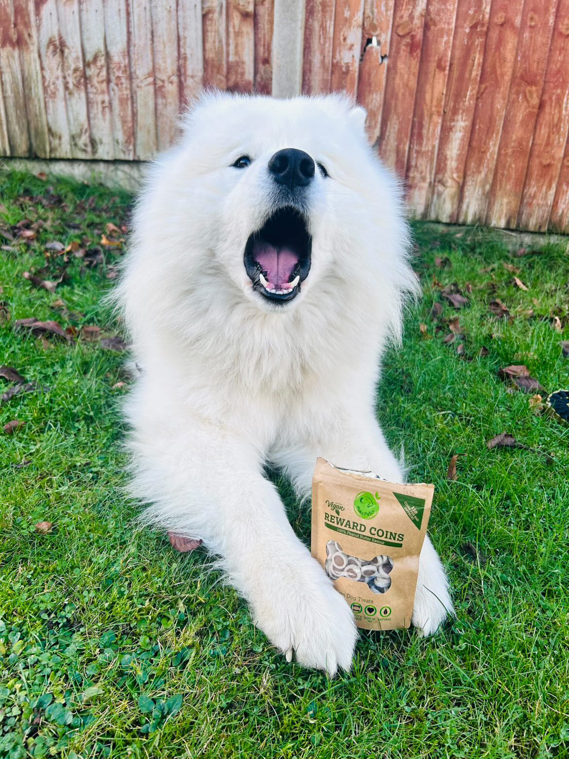 Peanut Butter flavoured reward coins (approx 110 per bag)