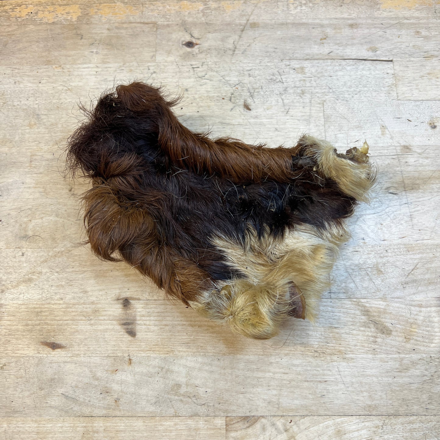 Hairy Beef Skin (pick your weight)