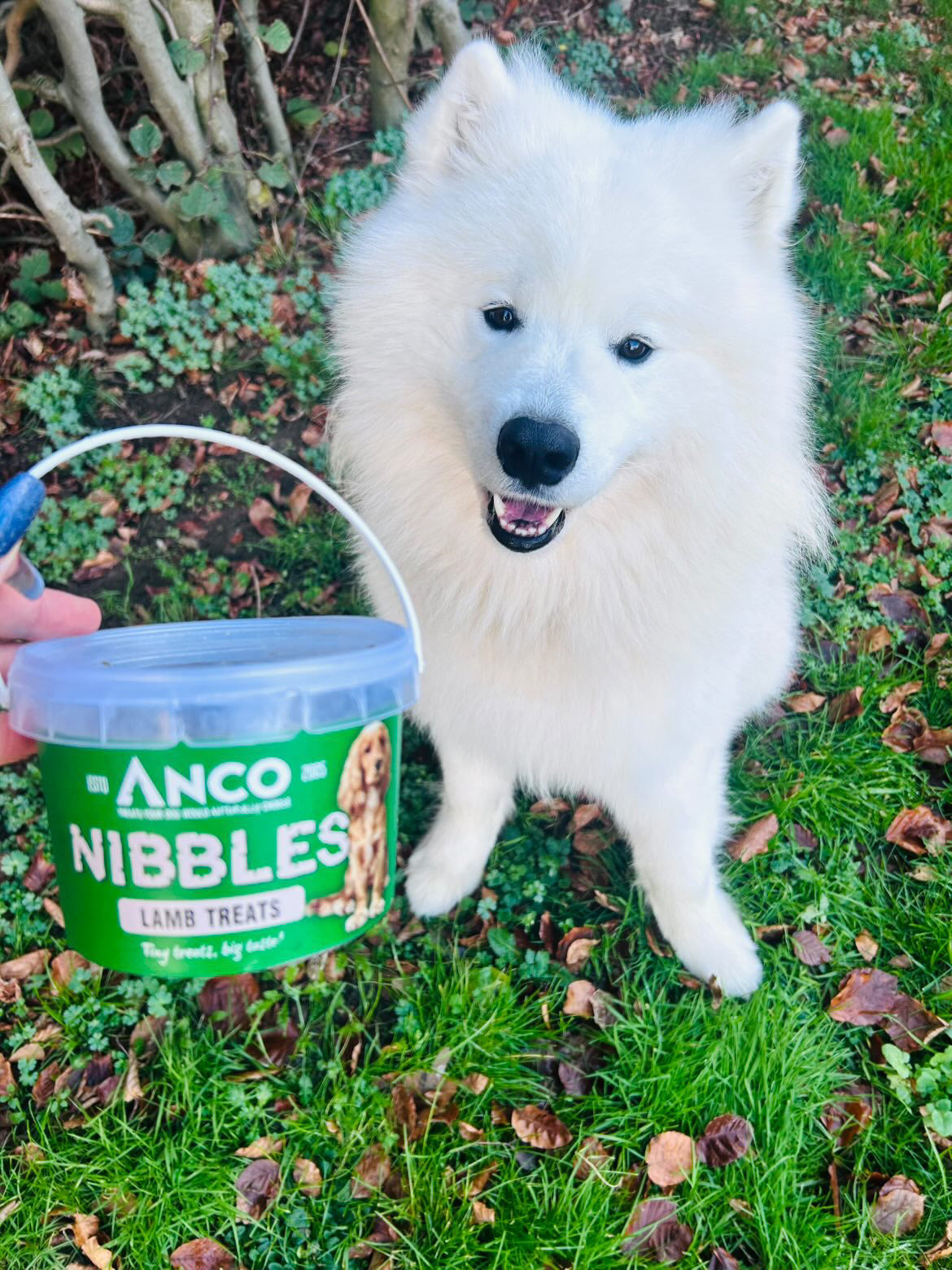 Anco Lamb Nibbles 300g