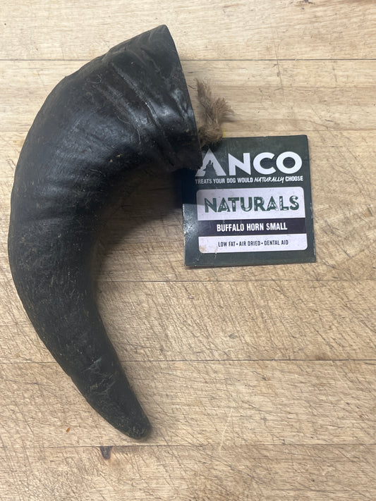 Buffalo Horn (Small)