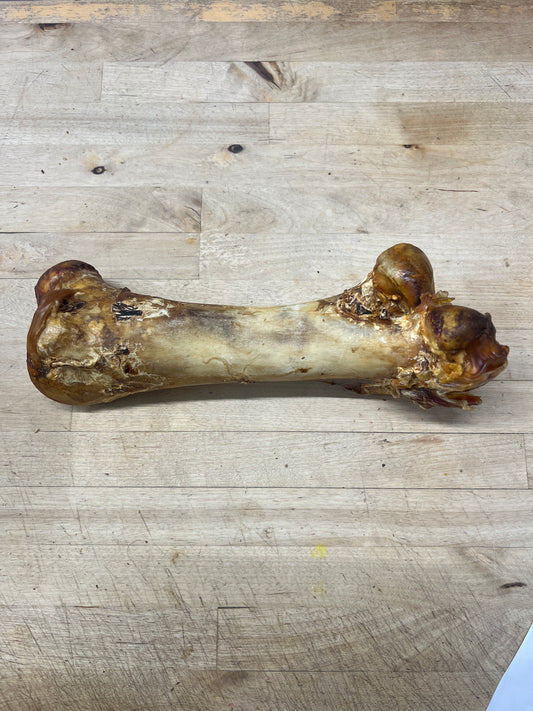 Jumbo Ostrich Bones