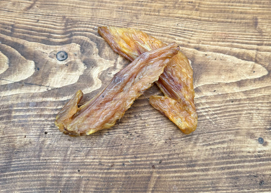 Turkey Wing Tip