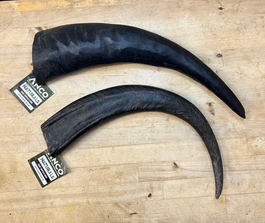 Anco Giant Buffalo Horn