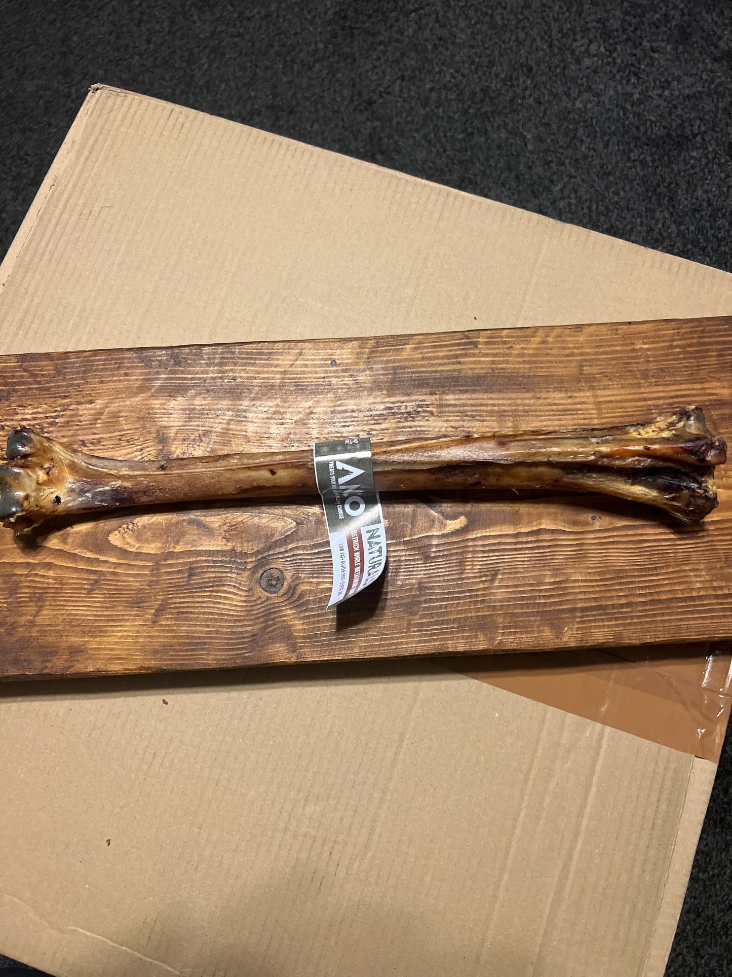Ostrich whole metatarsus bone - Anco