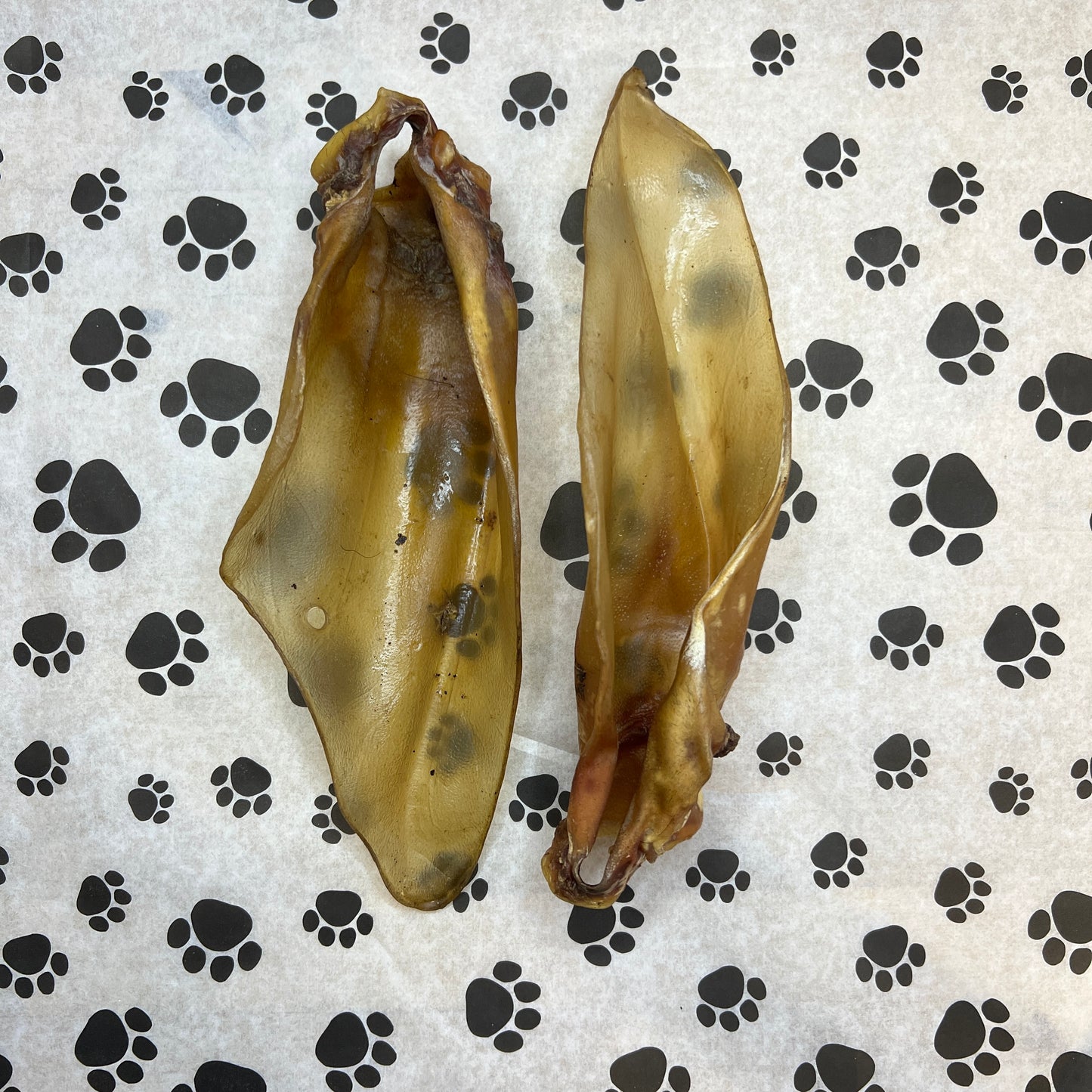 Large Plain Cow Ear