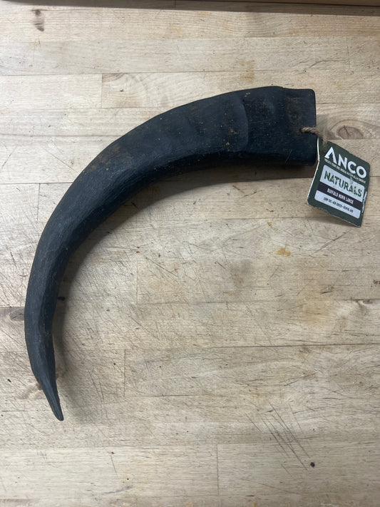 Buffalo Horn (Large)