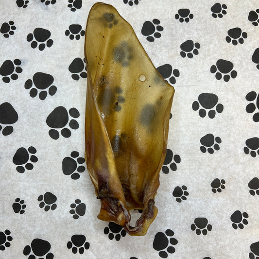 Large Plain Cow Ear