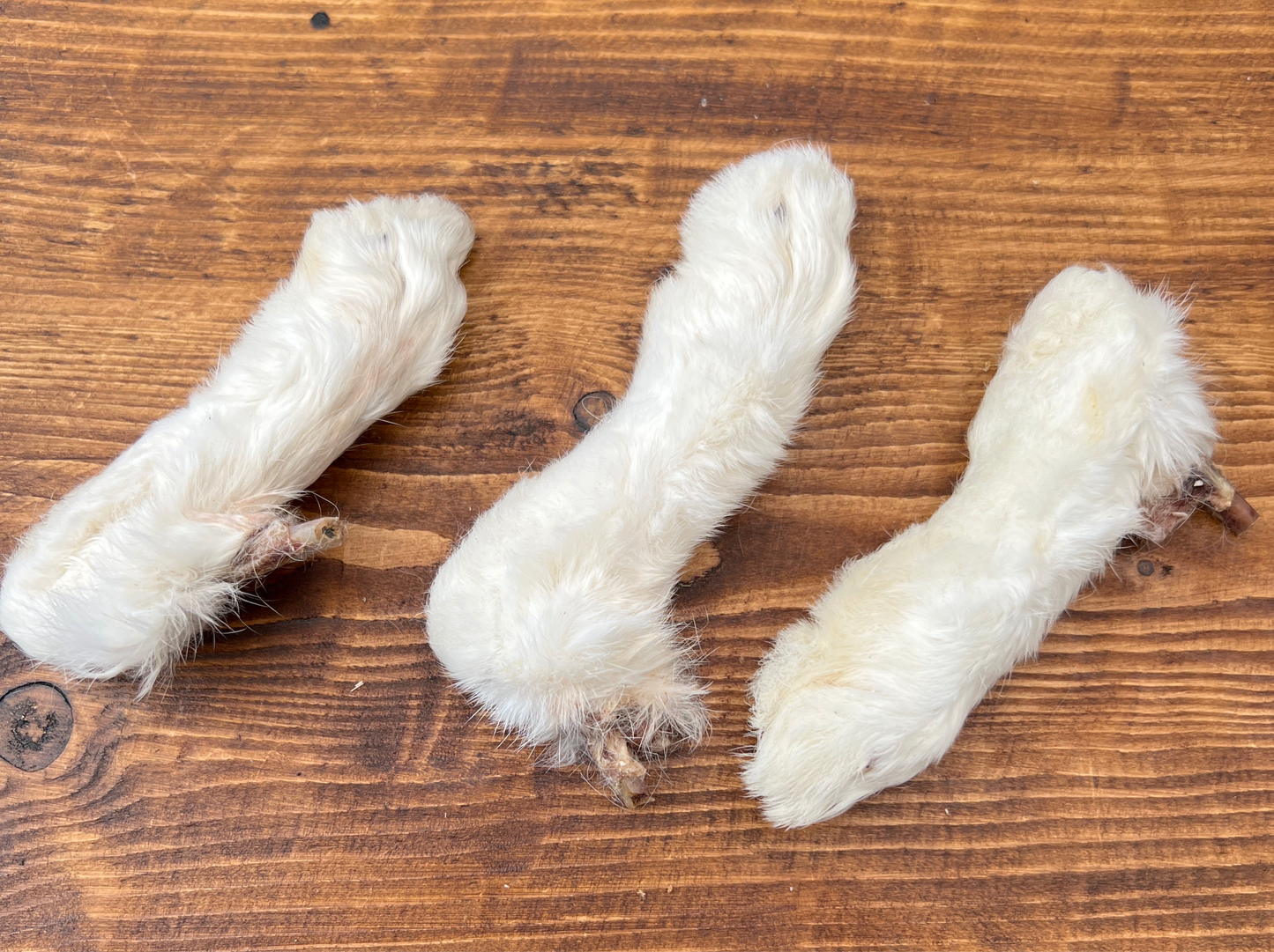 Hairy rabbit feet