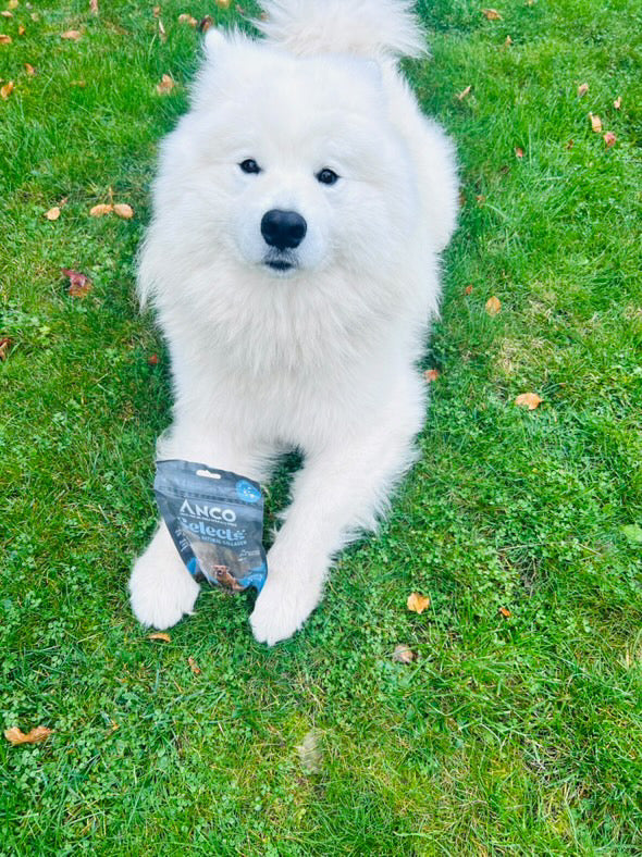 Anco Duck Strip selects with 22% collagen 85g bag