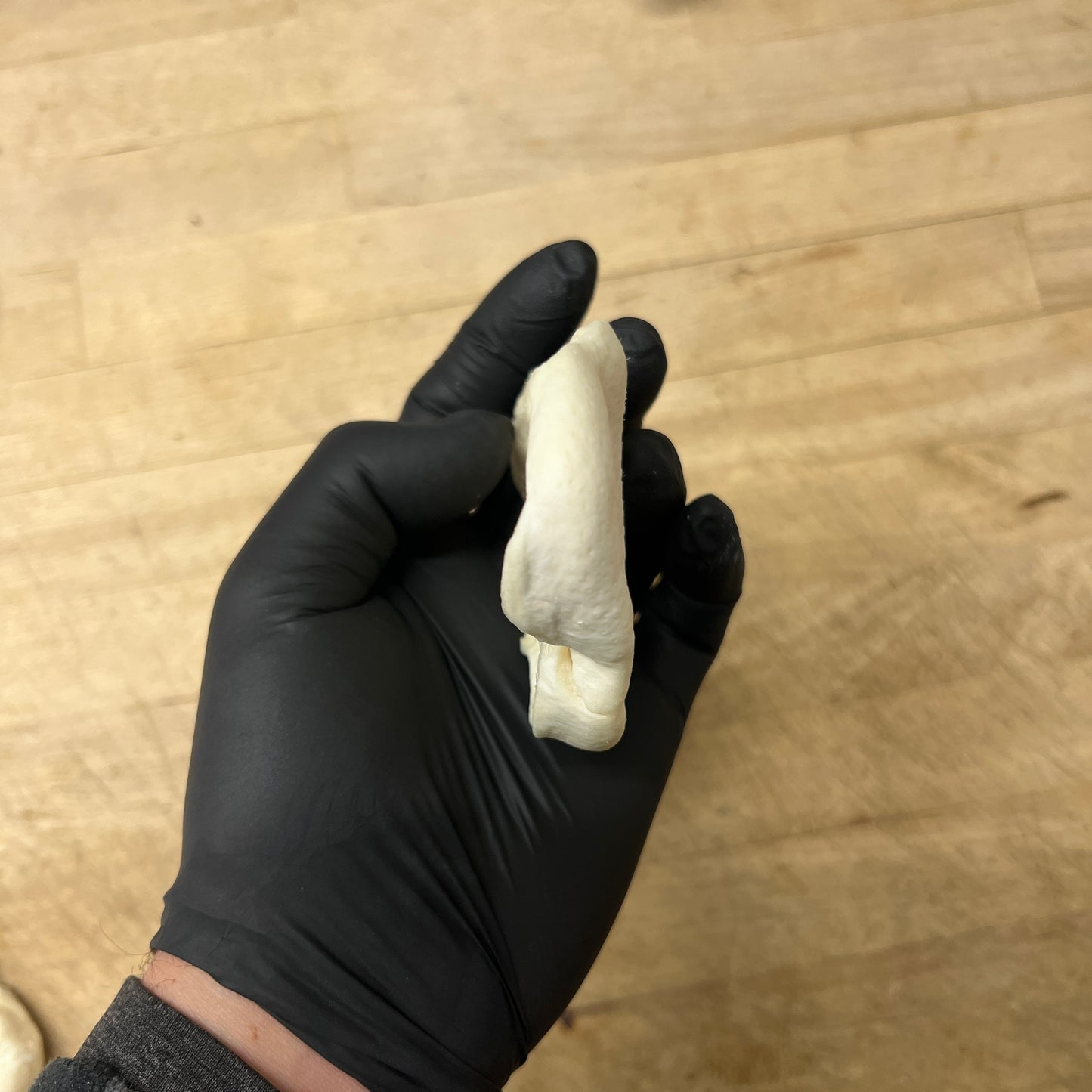 Puffed Pig Snout Slim