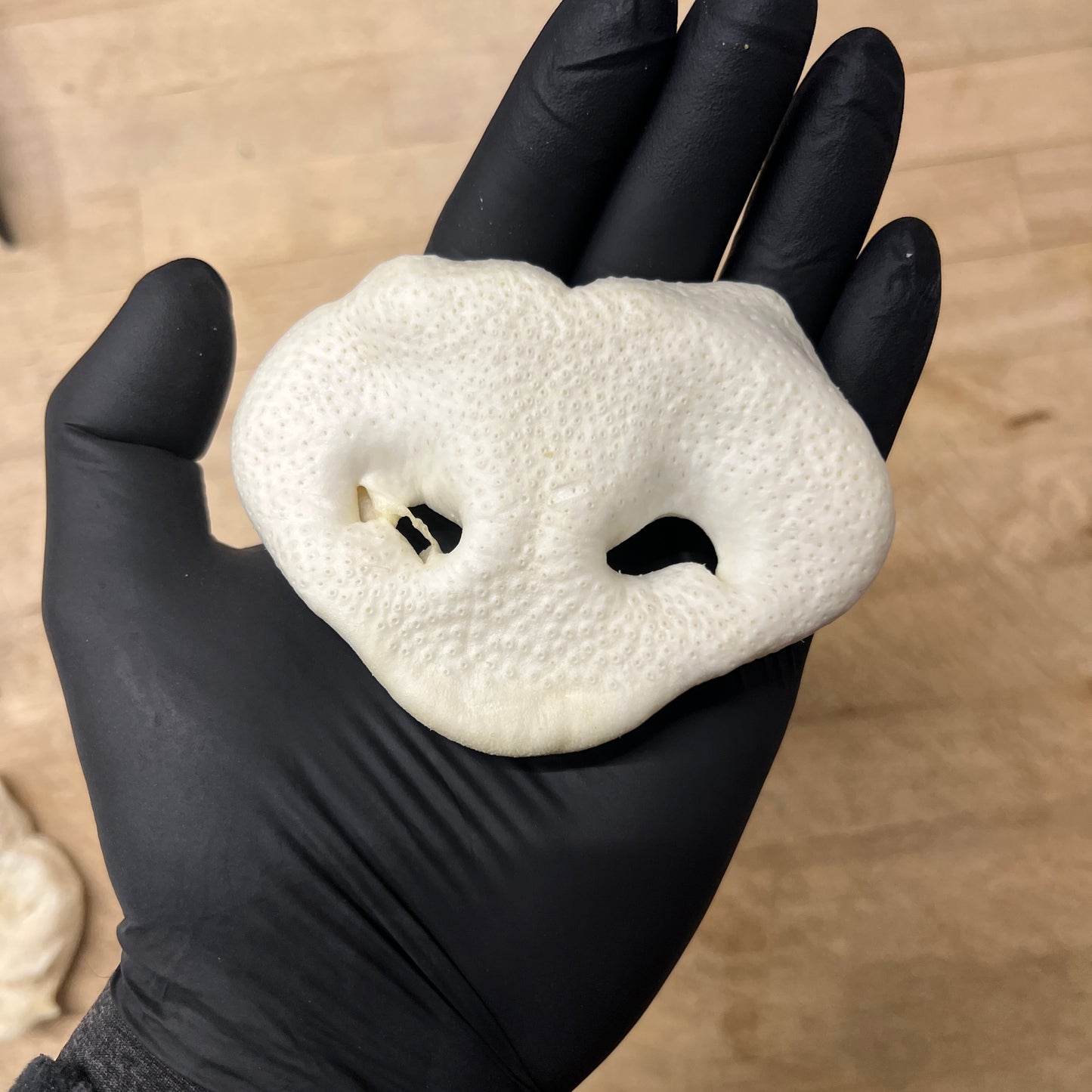 Puffed Pig Snout Slim