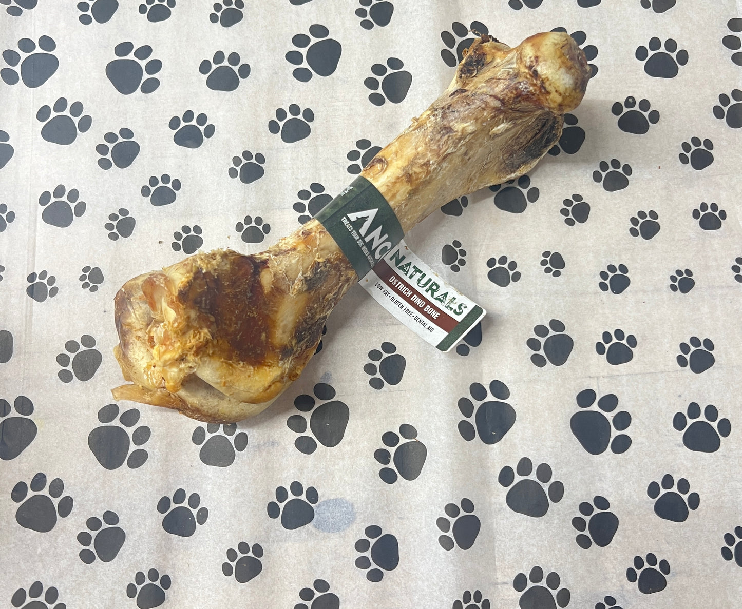 Anco ostrich dino bone