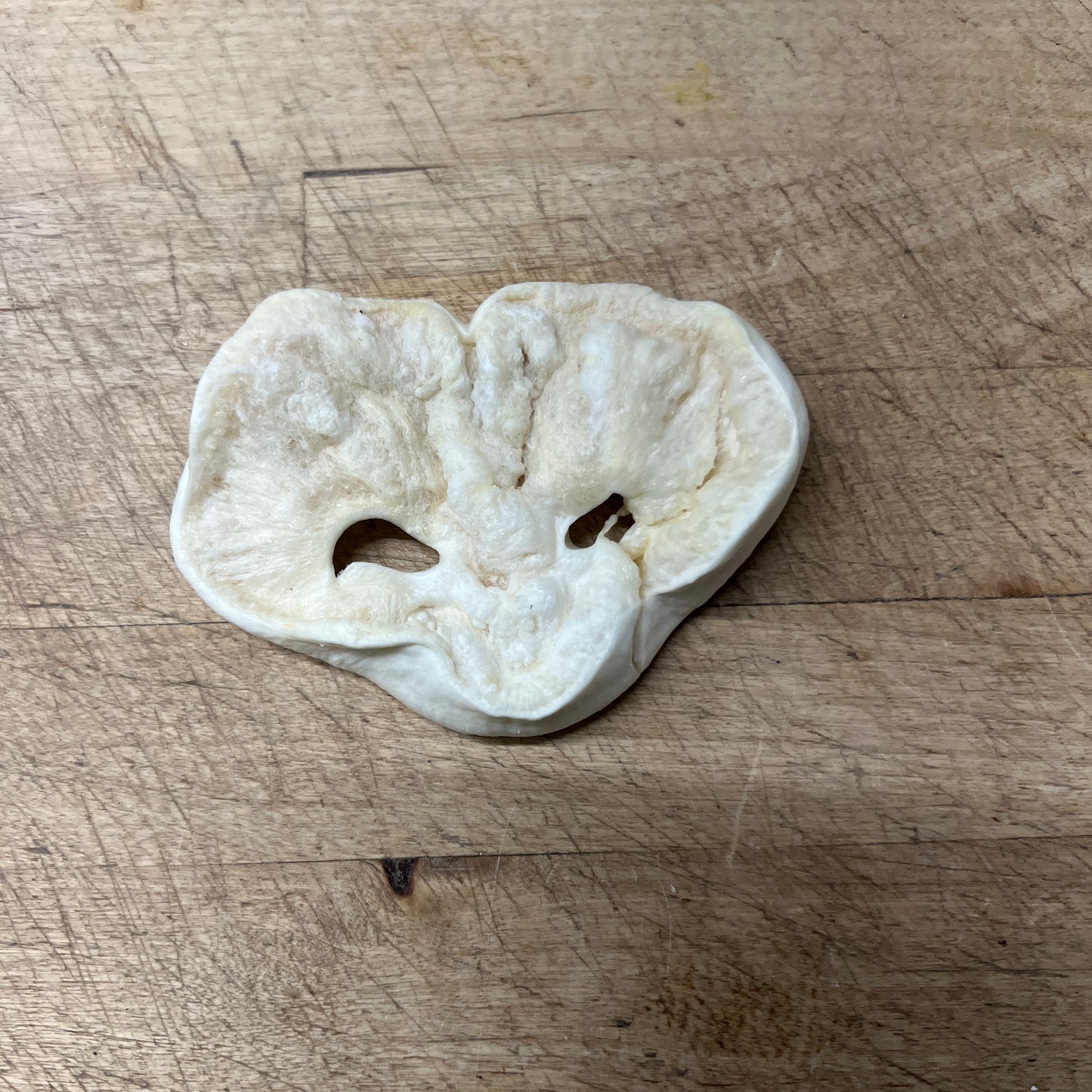 Puffed Pig Snout Slim