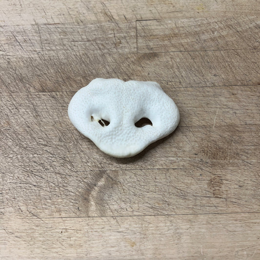 Puffed Pig Snout Slim