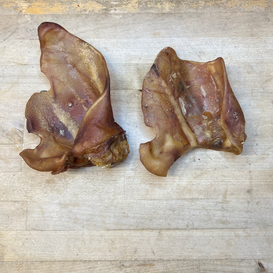 XL Pig Ear