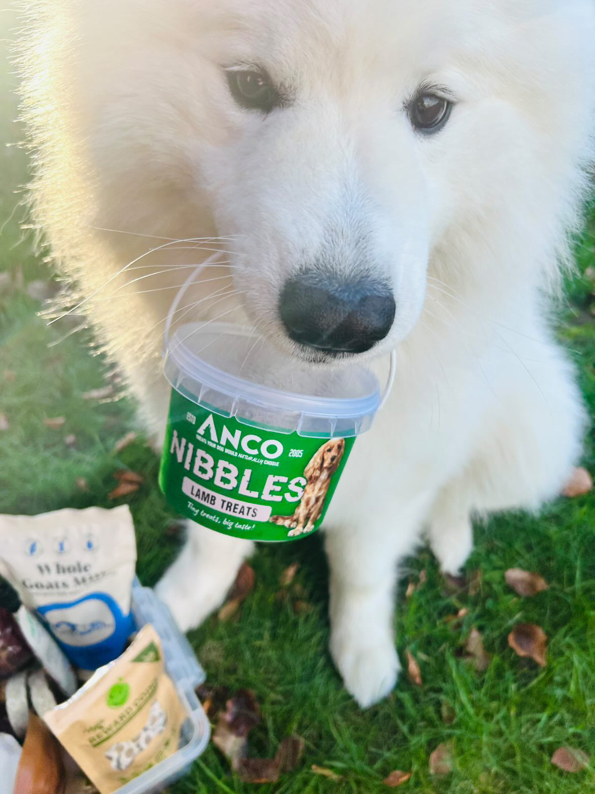 Anco Lamb Nibbles 300g