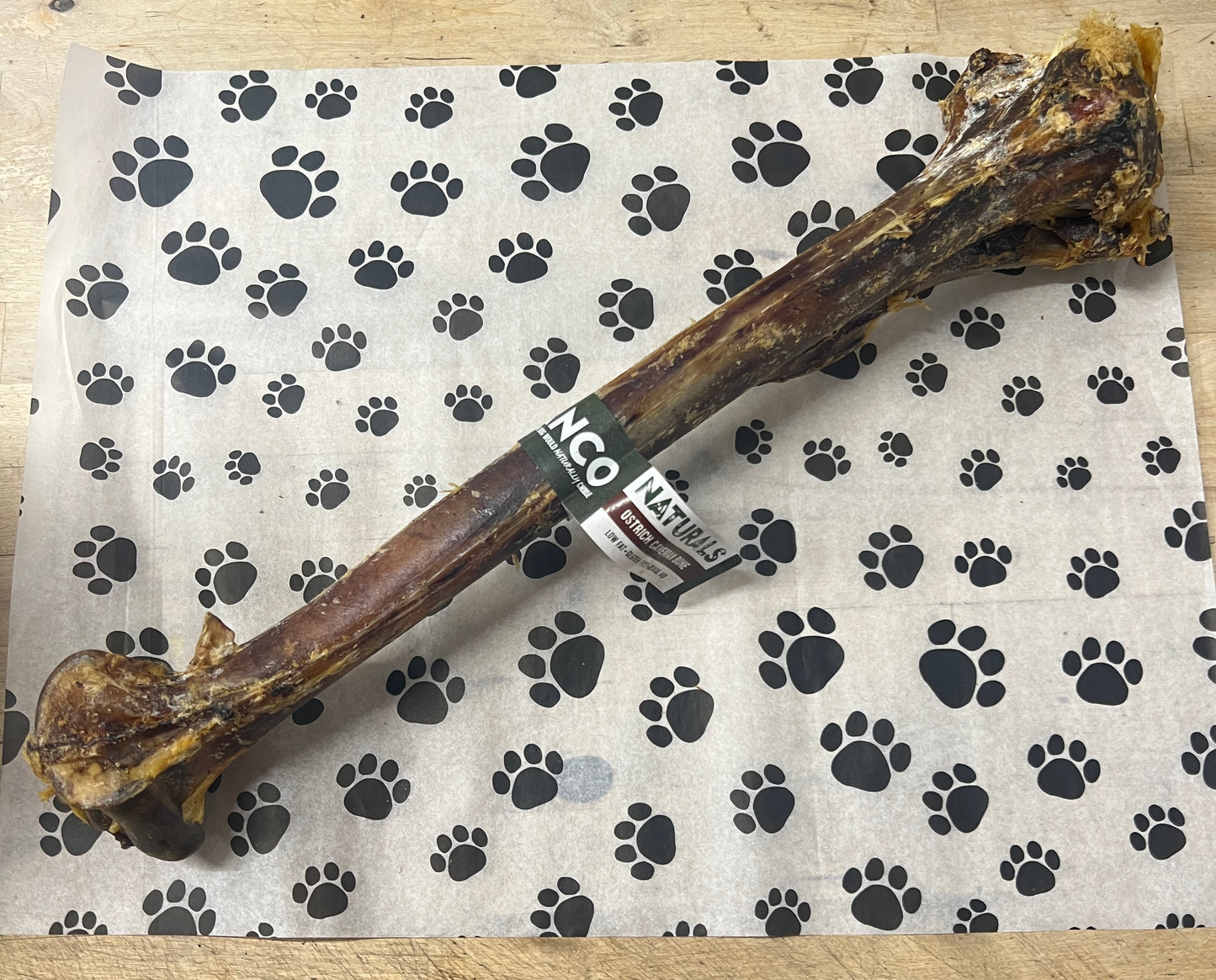 Anco ostrich caveman bone