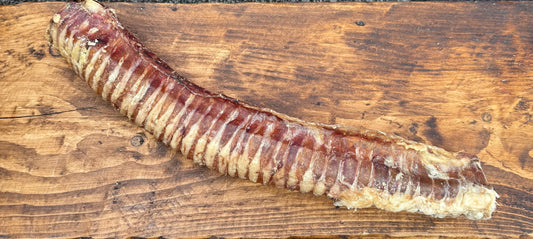 Beef Trachea Large