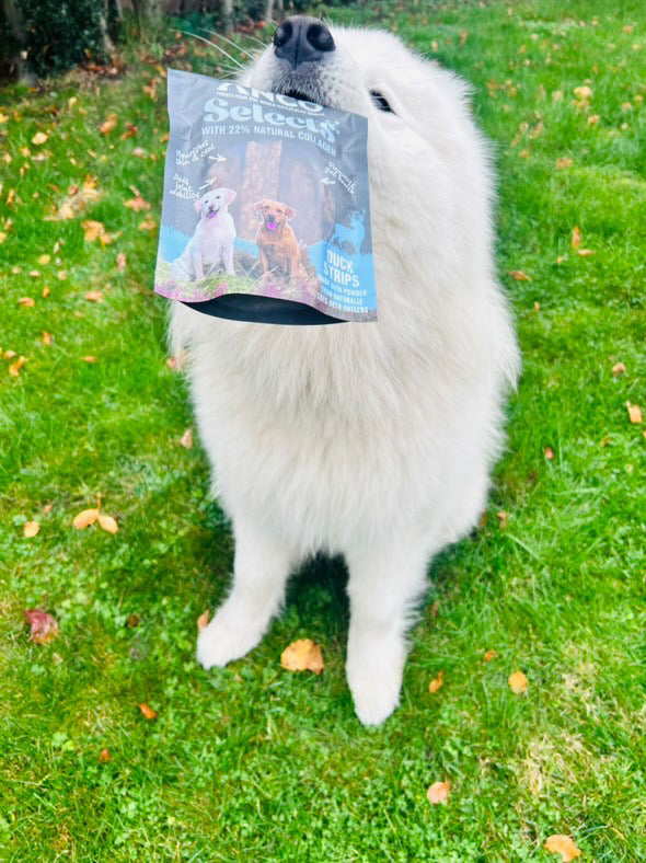 Anco Duck Strip selects with 22% collagen 85g bag