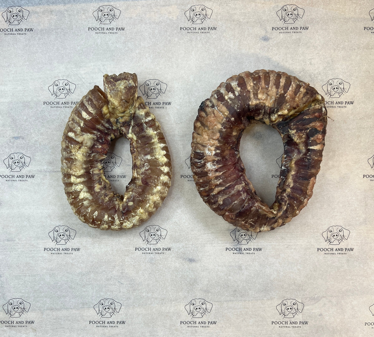 Trachea Rings