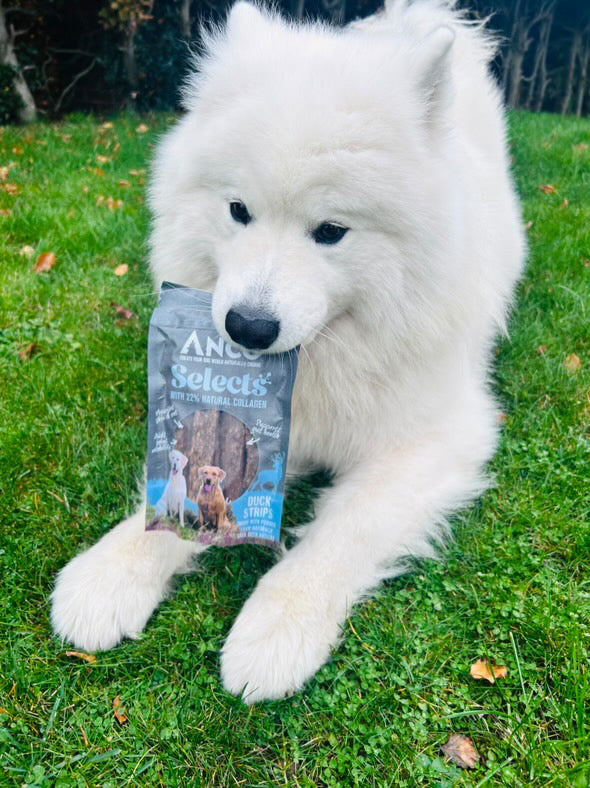 Anco Duck Strip selects with 22% collagen 85g bag